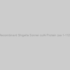 Image of Recombinant Shigella Sonnei cutA Protein (aa 1-112)